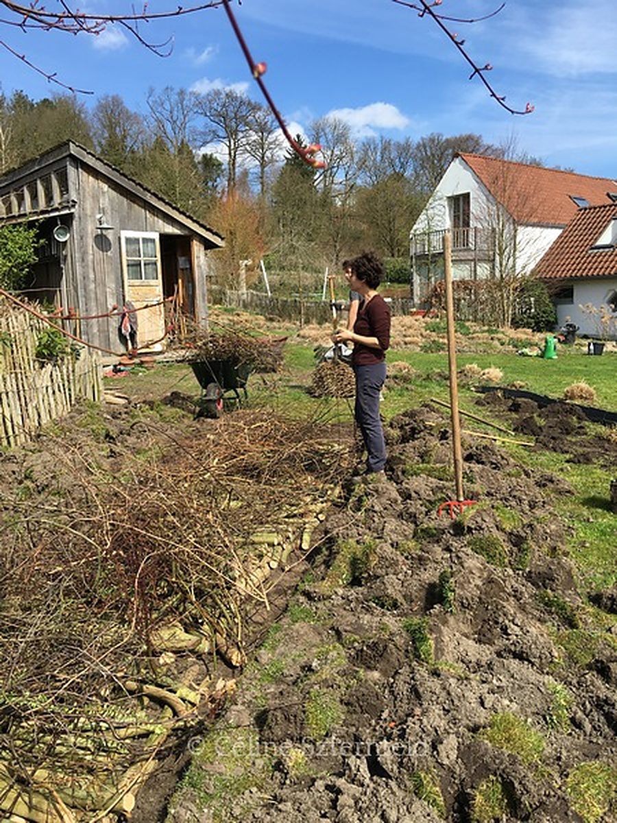 Céline Szternfeld sur un chantier de jardin