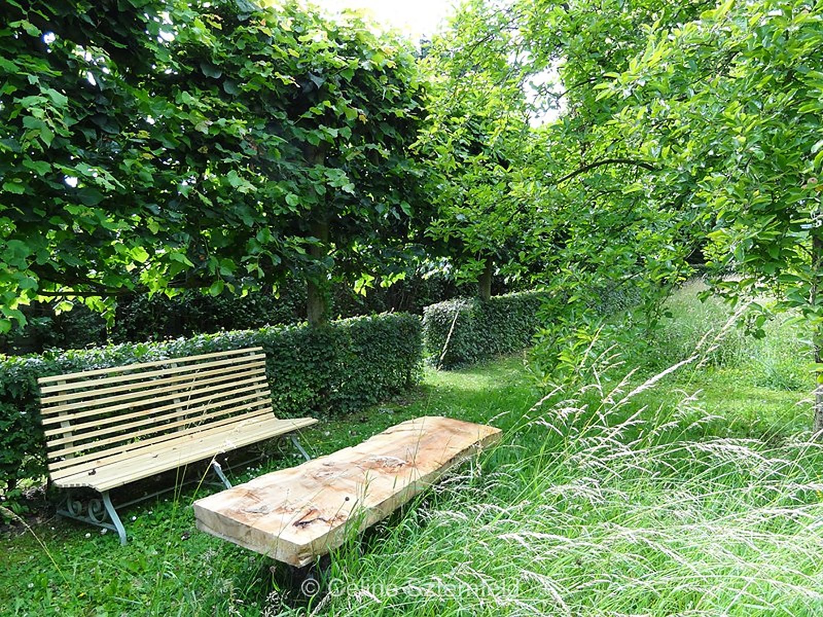 Un banc dans la prairie