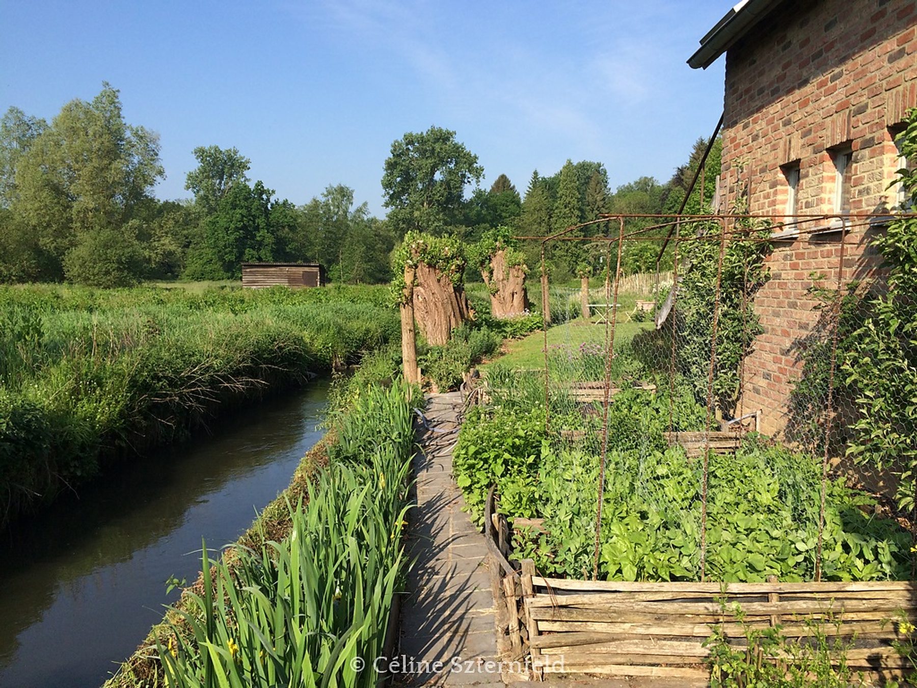 Potager le long de l'eau