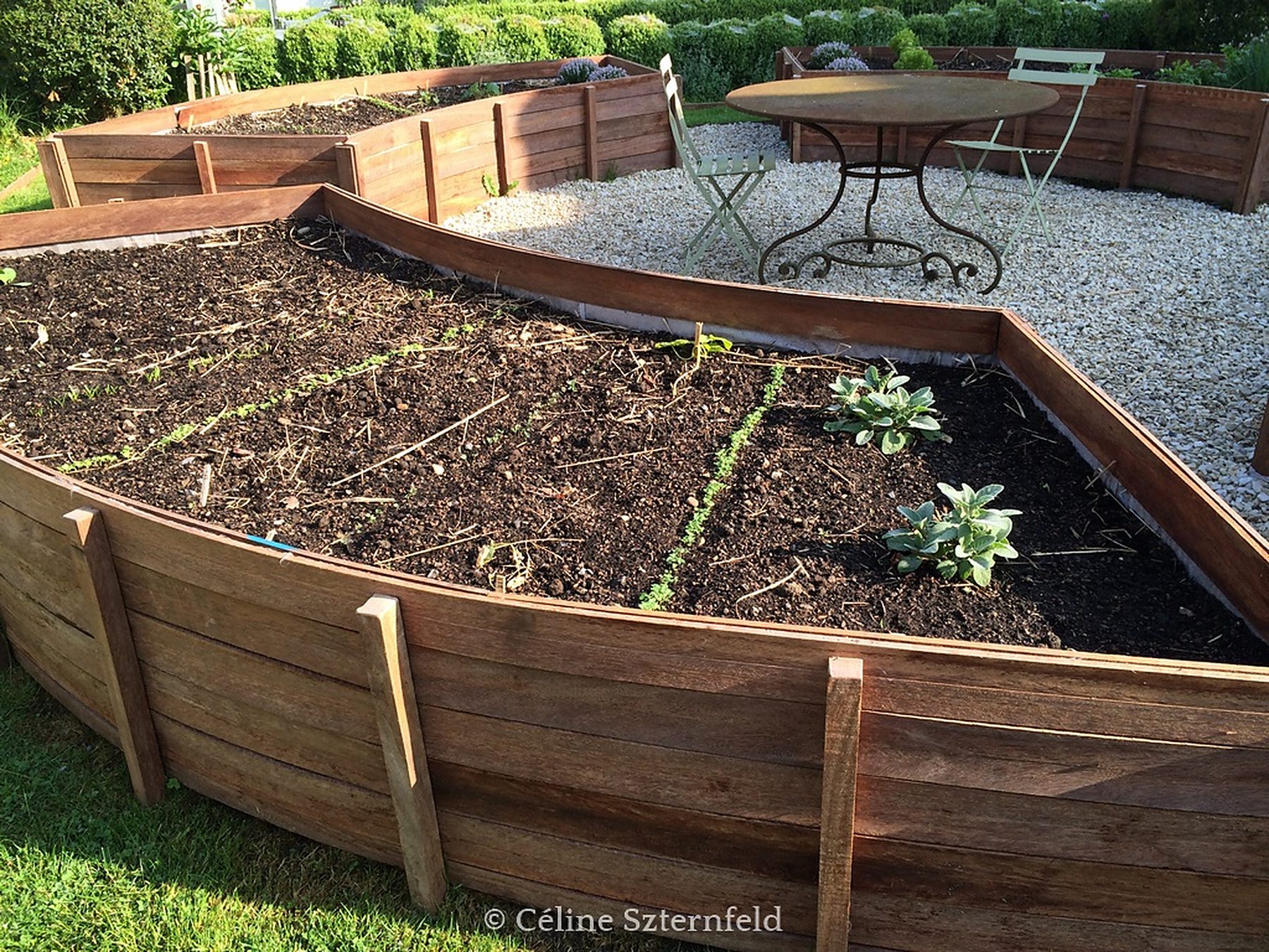 Potager en bacs de bois surélevés