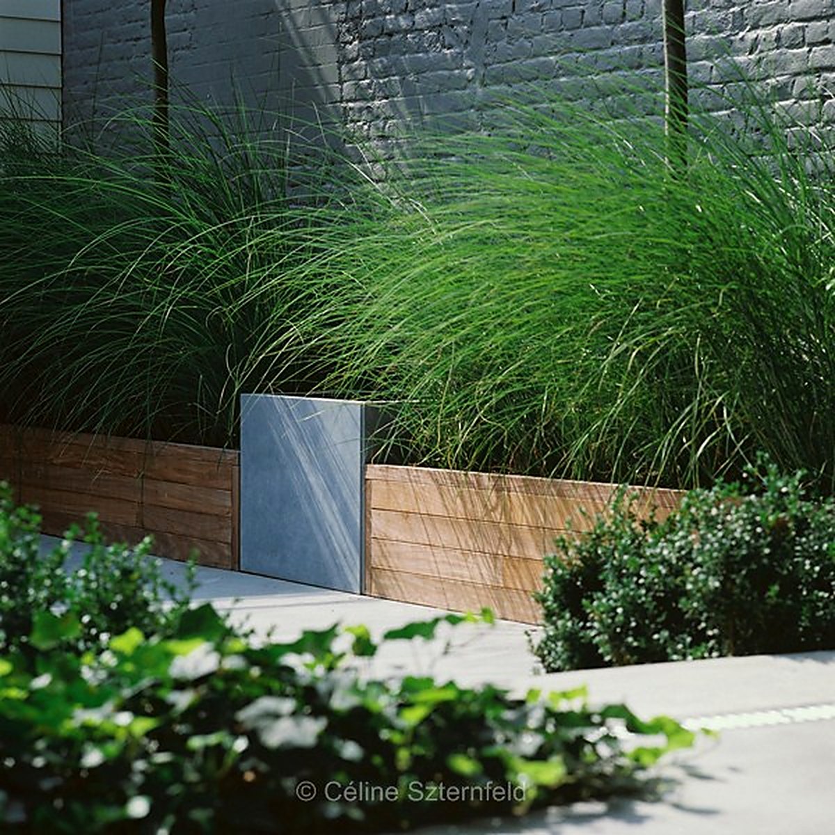 Jardin de ville