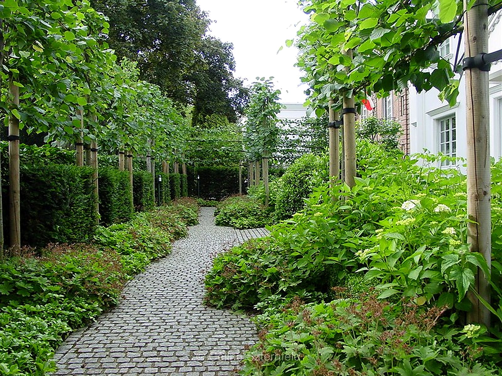 Allée et parterres